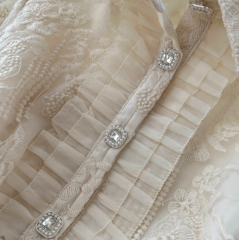 Apricot Embroidery Mesh Shirt & Skirt 2Pcs