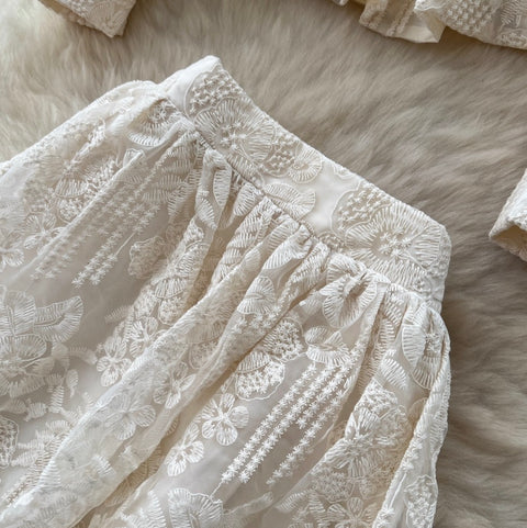 Apricot Embroidery Mesh Shirt & Skirt 2Pcs