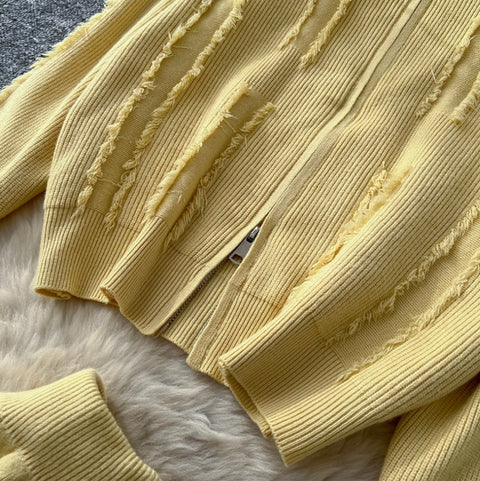 Fringed Knitwear & Wide-leg Trousers 2Pcs