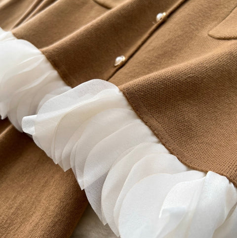 Turtleneck Sweater Dress & Vest 2Pcs