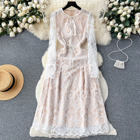 Elegant Embroidery Lace Dress