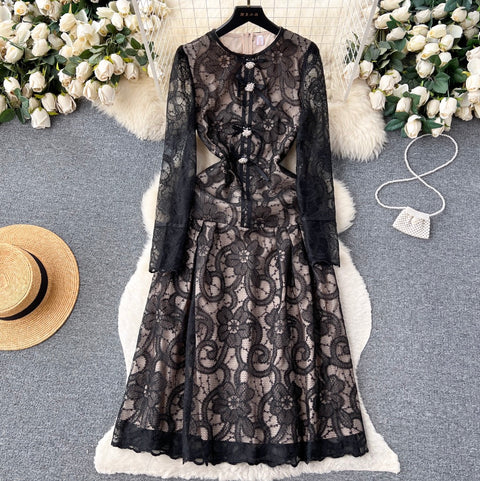 Elegant Embroidery Lace Dress