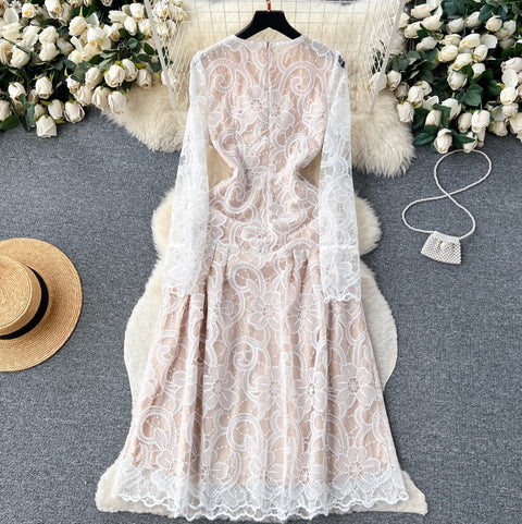 Elegant Embroidery Lace Dress