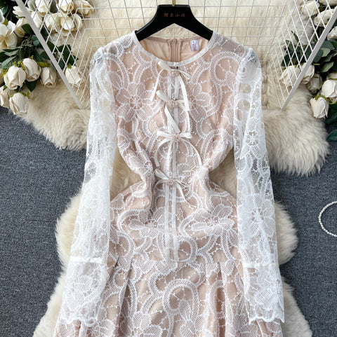 Elegant Embroidery Lace Dress