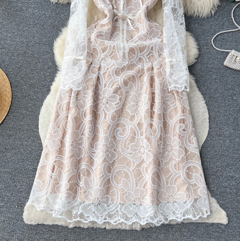 Elegant Embroidery Lace Dress