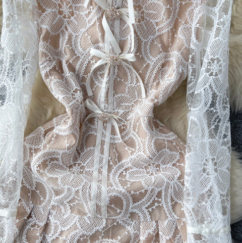 Elegant Embroidery Lace Dress