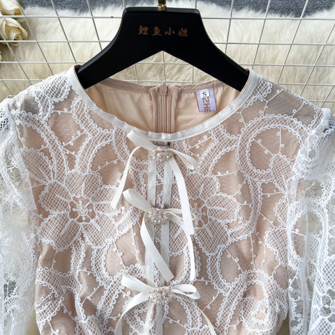 Elegant Embroidery Lace Dress