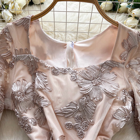 3d Floral Embroidered Mesh Dress