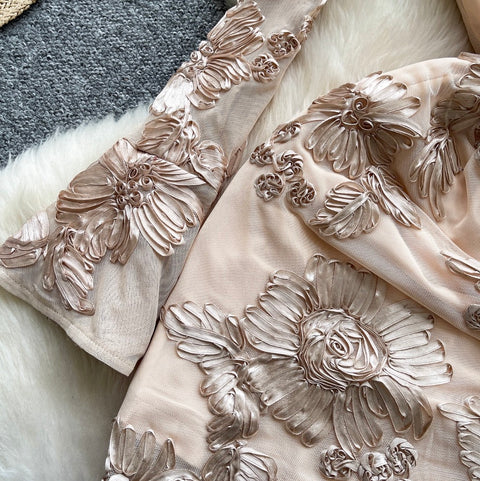 3d Floral Embroidered Mesh Dress
