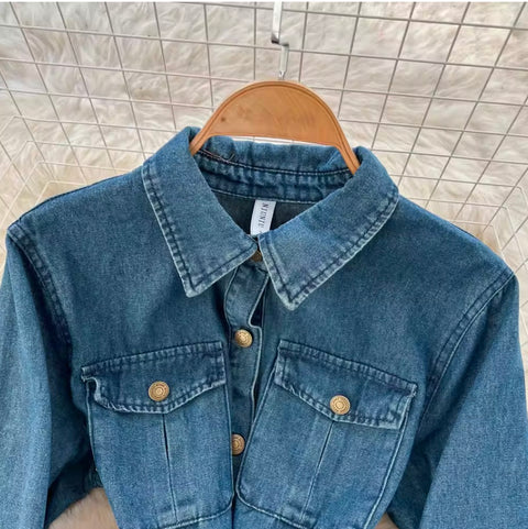Single-breasted Denim Shirt Dress