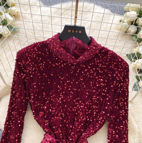 Glossy Sequined Suede Dress