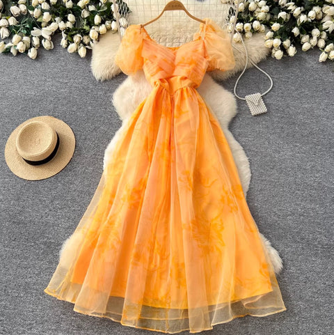 Romantic Floral Print Mesh Dress
