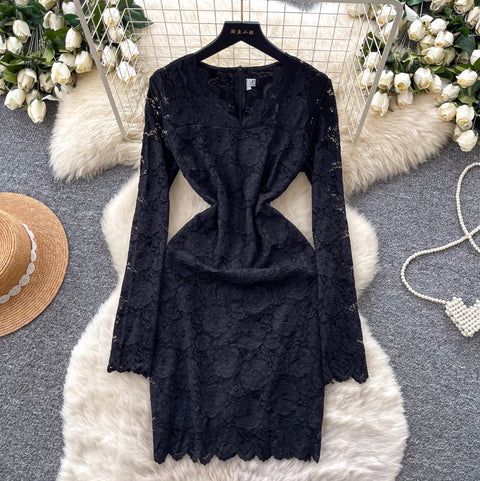 Premium Hollowed Embroidery Lace Dress