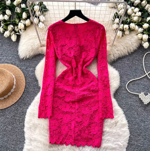 Premium Hollowed Embroidery Lace Dress