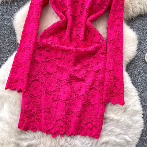 Premium Hollowed Embroidery Lace Dress