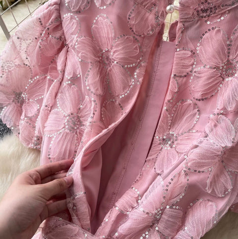 Korean Style Sequined Lace Dress