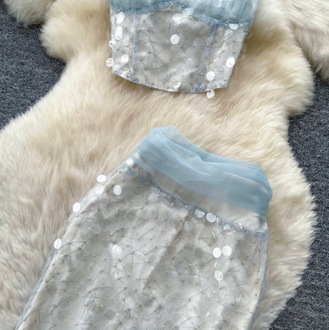 Sequined Top & Skirt Mesh 2Pcs