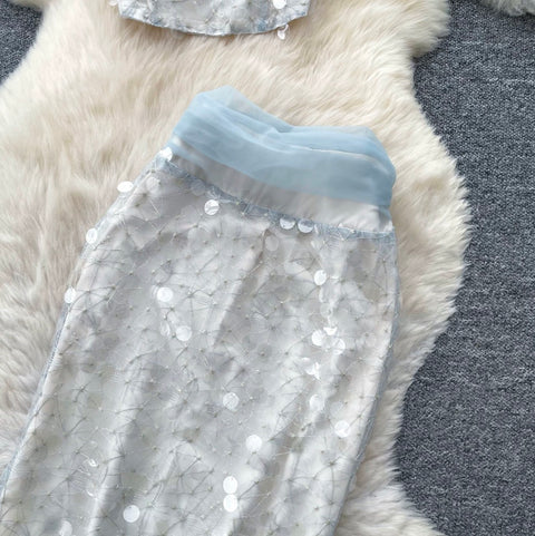 Sequined Top & Skirt Mesh 2Pcs