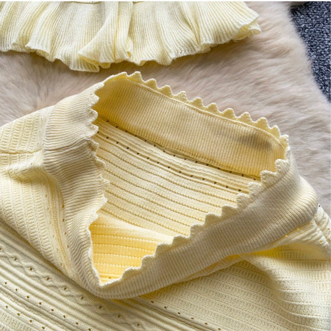 Knitted Vest & Pleated Skirt 2Pcs