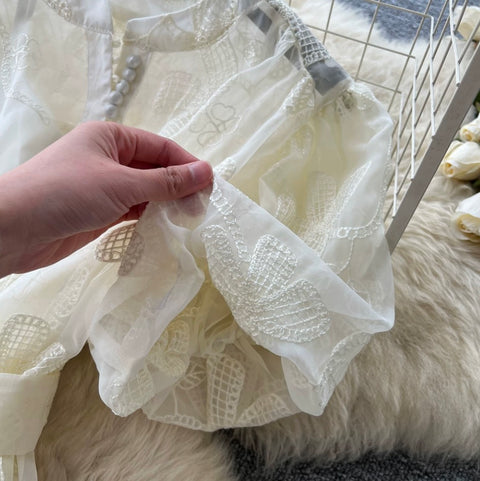 Puffy Sleeve A-line Lace Dress