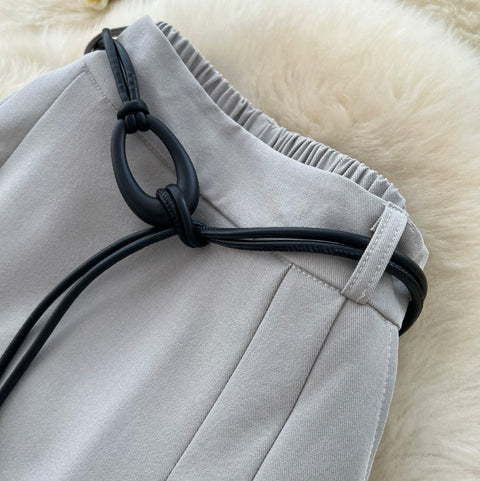 Elegant A-line Casual Pleated Skirt