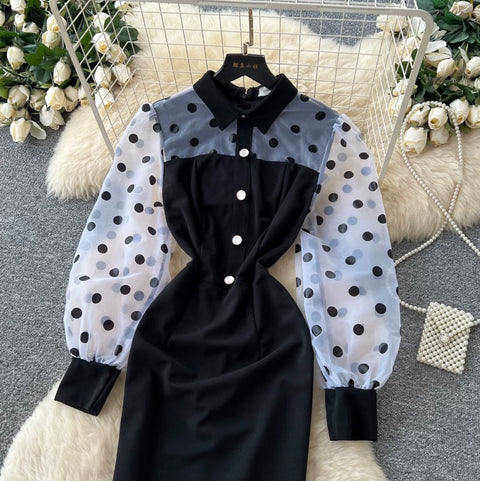 Polka Dot Mesh Patchwork Dress