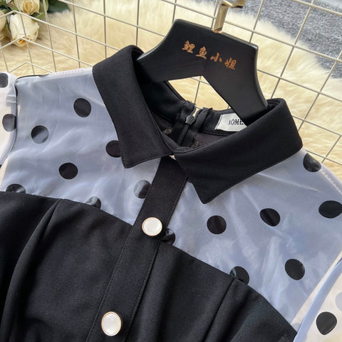 Polka Dot Mesh Patchwork Dress