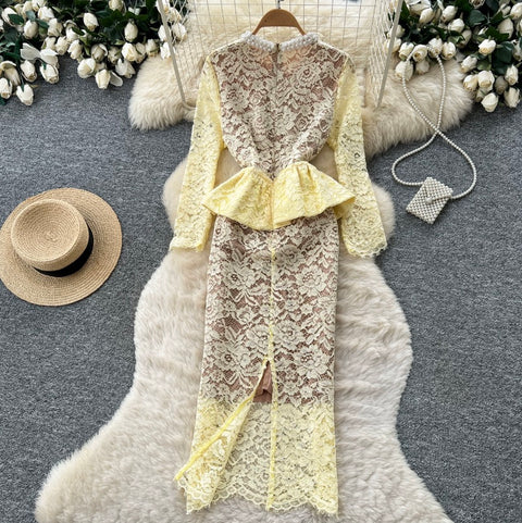 Embroidered Lace Slim-fit Dress