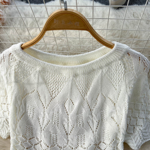 Crochet Top&Fishtail Skirt 2Pcs Set