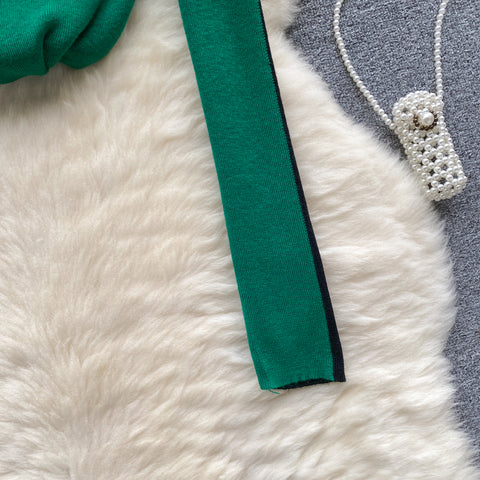 Turtleneck Slim-fitting Solid Color Knitwear