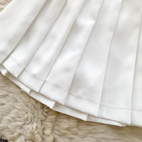 Crew Neck Vest & Pleated Skirt 2Pcs