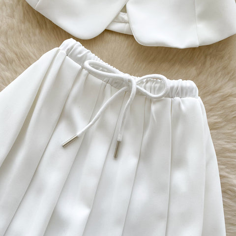 Crew Neck Vest & Pleated Skirt 2Pcs