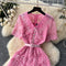 Doll Collar Embroidered Lace Dress