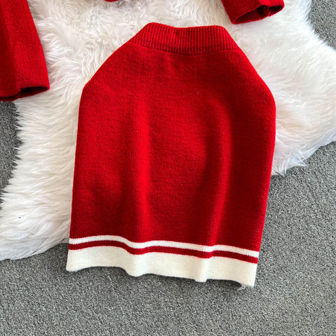 Camellia Cardigan&Skirt Knitted 2PCS
