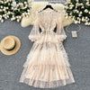 Fairy Floral Embroidered Puffy Mesh Dress