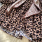 Leopard Printed A-line Shirt Dress