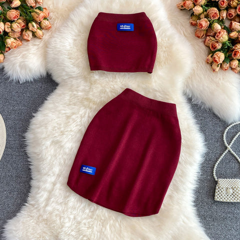 Tube Top&Skirt Chic Knitted 2Pcs
