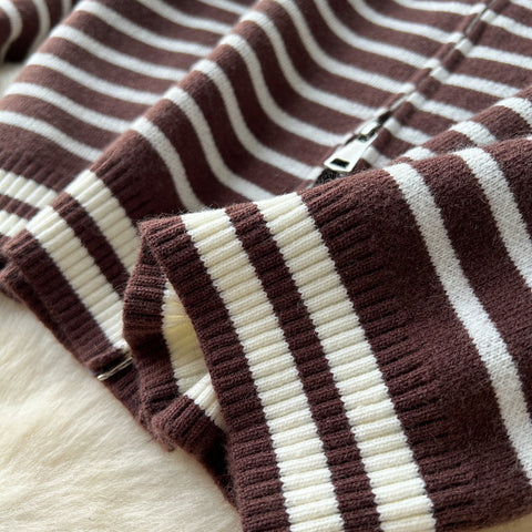 Striped Hoodie&Trousers Casual 2Pcs