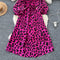 Vintage Leopard Printed Flared Dress