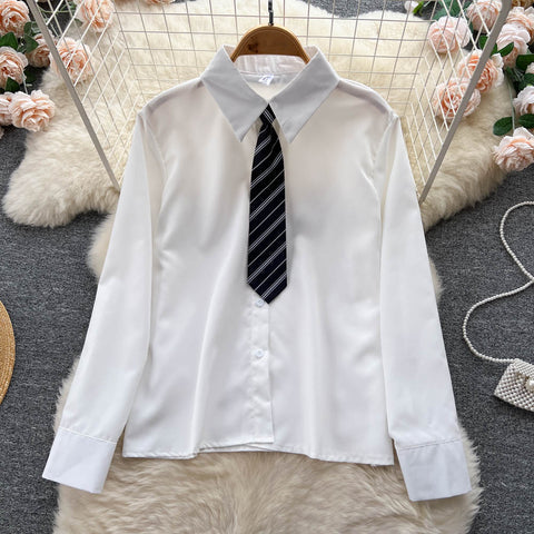 Long Sleeve Blouse&Pleated Dress 2Pcs