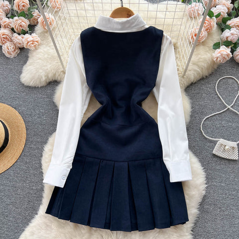 Long Sleeve Blouse&Pleated Dress 2Pcs