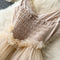 Fairy Mesh Chiffon Slip Dress