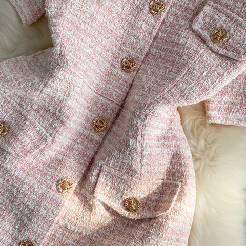 Round Neck Single-breasted Tweed Dress