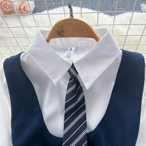 Long Sleeve Blouse&Pleated Dress 2Pcs