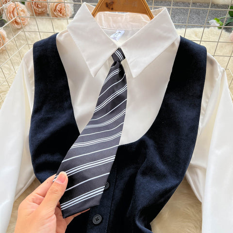 Long Sleeve Blouse&Pleated Dress 2Pcs