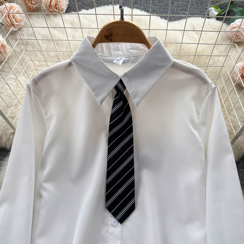 Long Sleeve Blouse&Pleated Dress 2Pcs