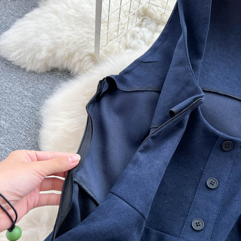 Long Sleeve Blouse&Pleated Dress 2Pcs