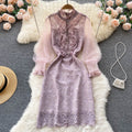 Fungus Lace Embroidered Mesh Dress