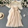 Fairy Mesh Chiffon Slip Dress