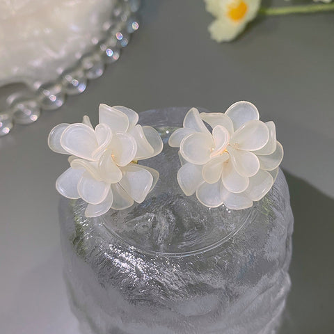 New-arrived Popular Frosted Earrings
